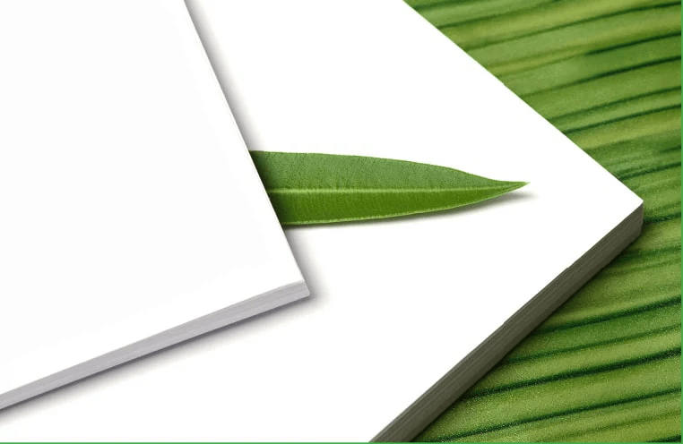 PRINT GREENER, PRINT LEANER - Scope Business Imaging